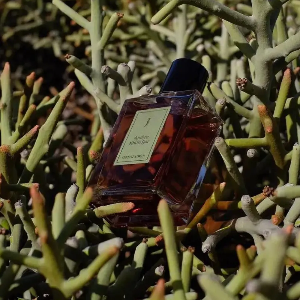Une Nuit Nomade Unisex Perfume | Perfume For Him | Ambre Khandjar