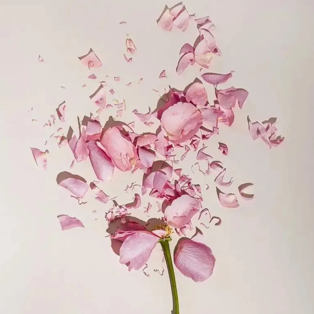 Fugazzi Perfume For Her | Unisex Perfume | Cash Flower