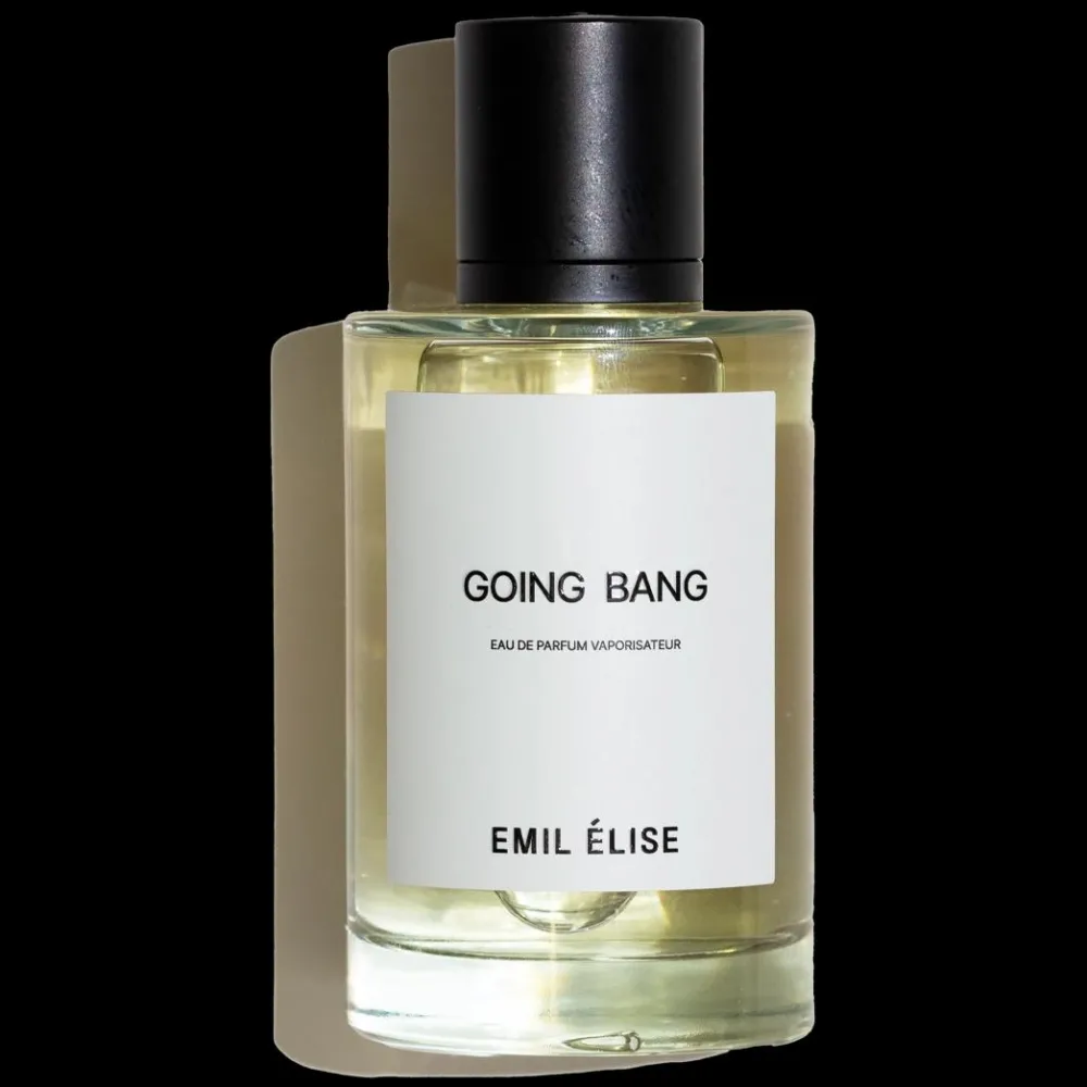 Emil Élise Unisex Perfume | Perfume For Him | Going Bang