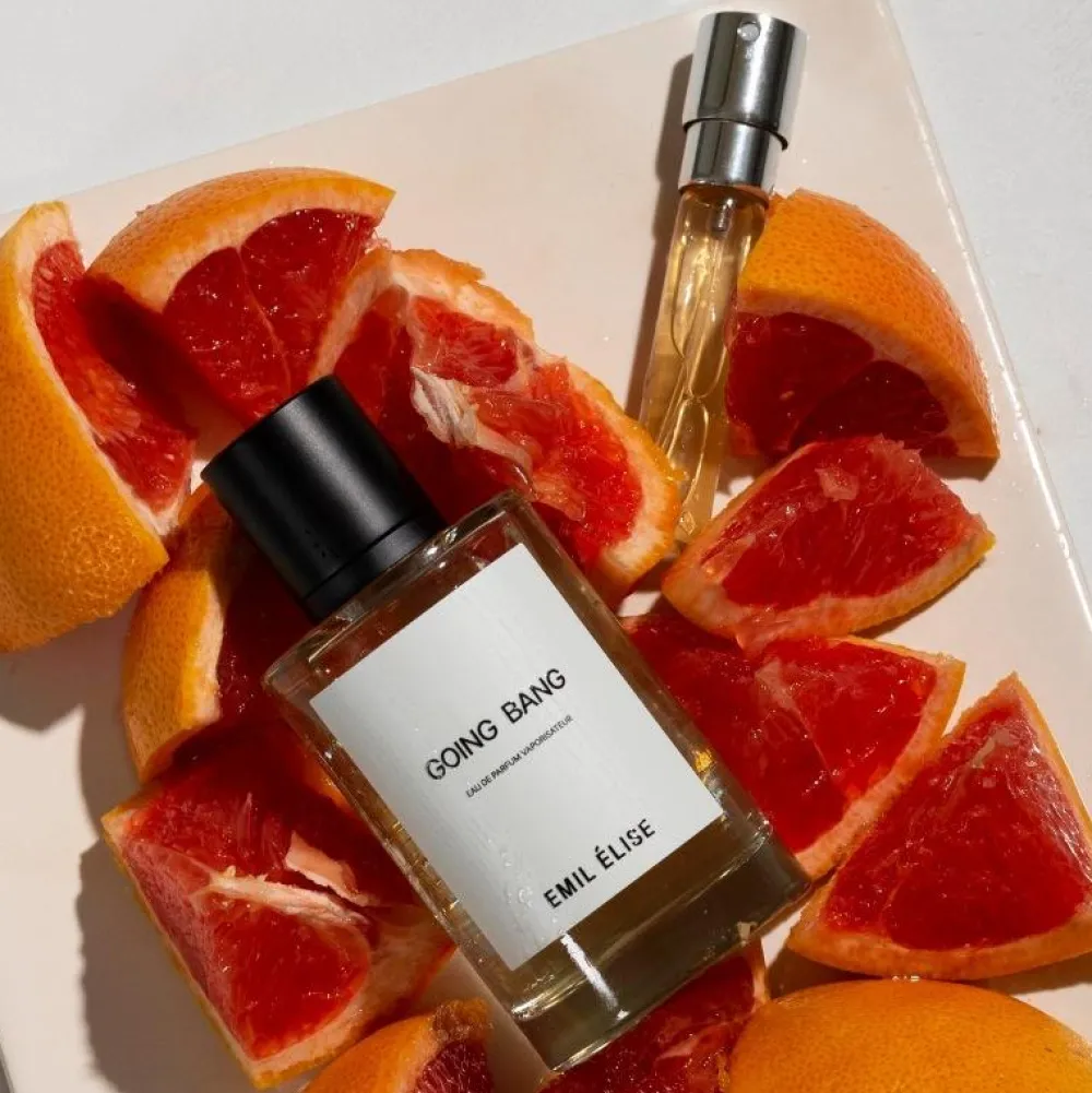Emil Élise Unisex Perfume | Perfume For Him | Going Bang