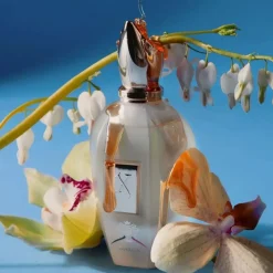 Xerjoff Unisex Perfume | Naxos